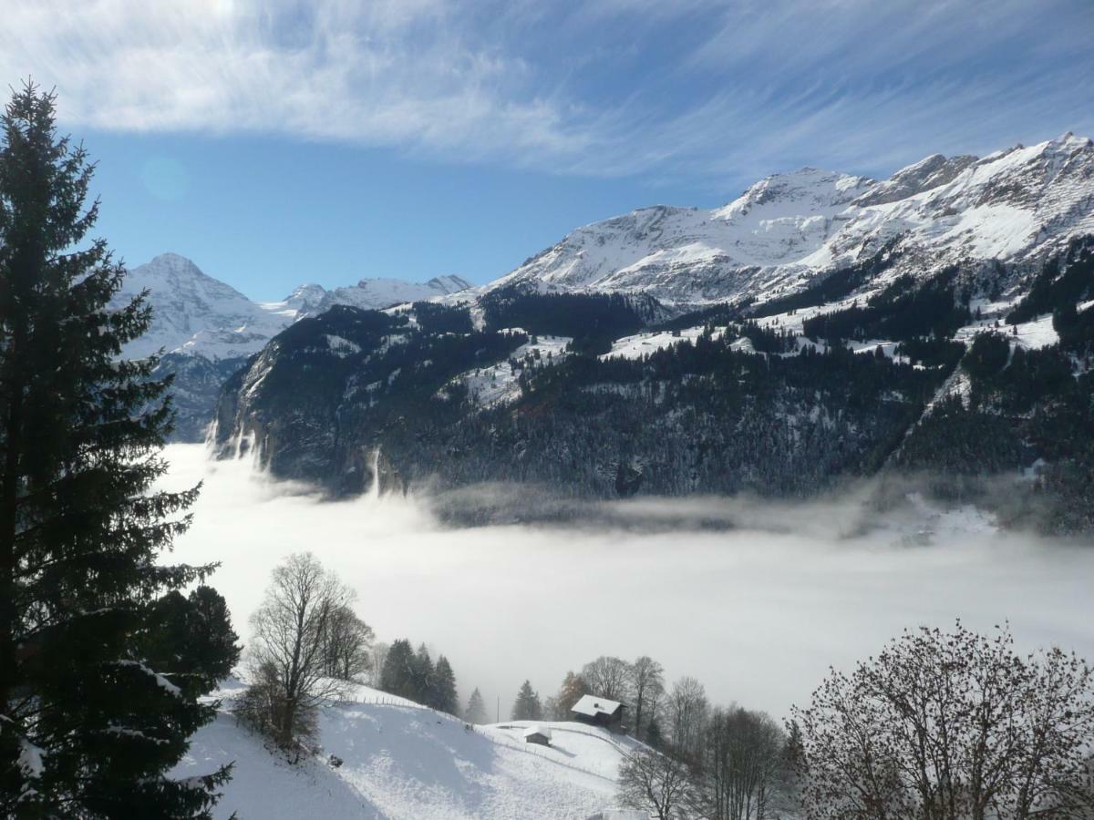 Holiday Flat #1, Chalet Aberot, Wengen, Switzerland Esterno foto